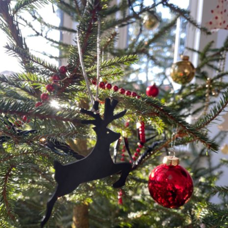 Rudolph Eco Friendly Christmas Decoration